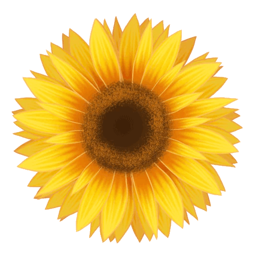 a slowly spinning sunflower
